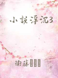 小说浮沉3