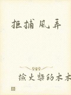 拒捕 风弄