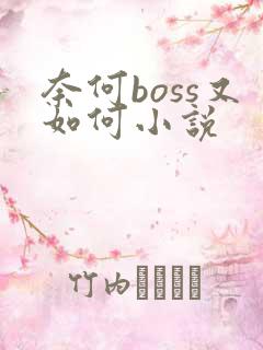 奈何boss又如何小说