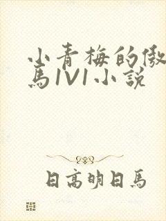 小青梅的傲娇竹马1V1小说