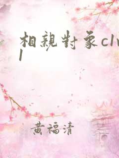 相亲对象c1v1
