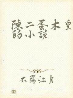 陈二蛋木皇真经的小说