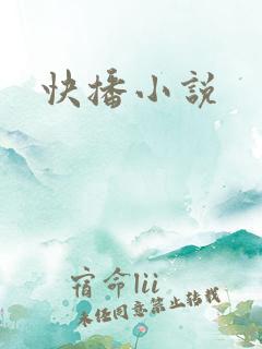 快播小说