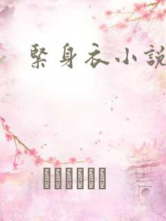 紧身衣小说