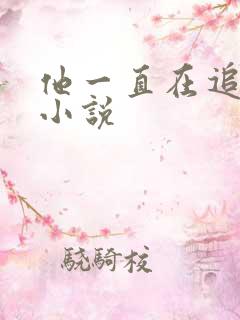他一直在追初恋小说