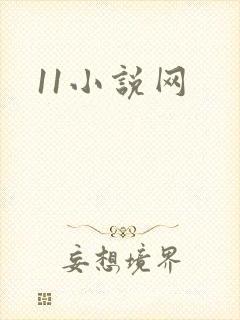 11小说网