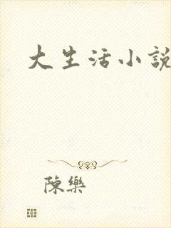 大生活小说