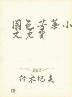 国色芳华小说全文免费