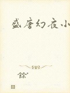 盛唐幻夜小说