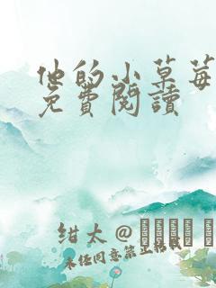 他的小草莓全文免费阅读