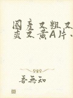 国产又粗又猛又爽又黄A片小说