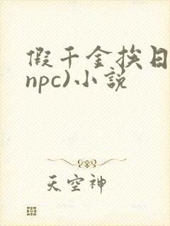 假千金挨日记(npc)小说