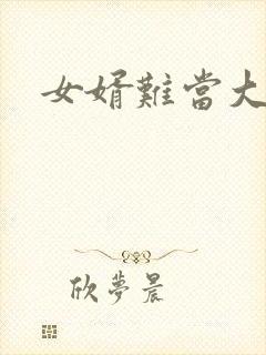 女婿难当大结局