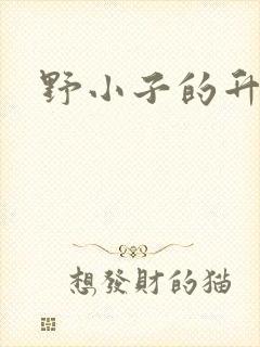 野小子的升官路