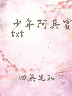 少年阿兵宾小说txt