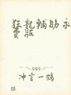 狂龙辅助永久免费版