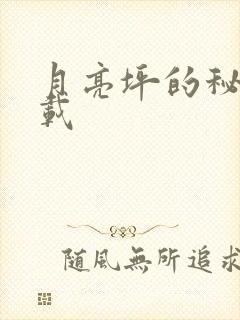 月亮坪的秘密下载