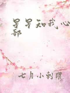 星星知我心第二部
