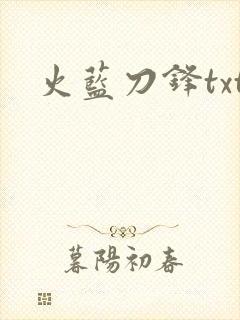 火蓝刀锋txt