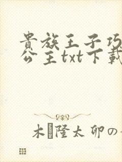 贵族王子巧遇穷公主txt下载