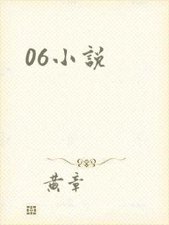 06小说