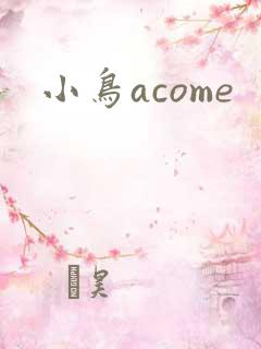 小鸟acome