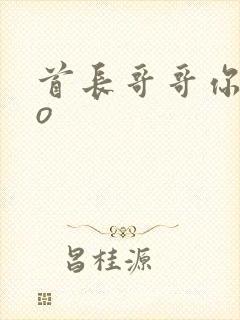 首长哥哥你好po