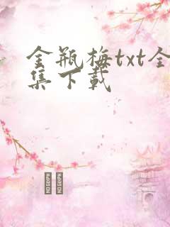 金瓶梅txt全集下载