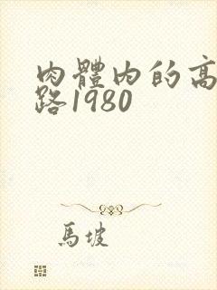肉体内的高速公路1980