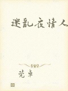 迷乱夜情人