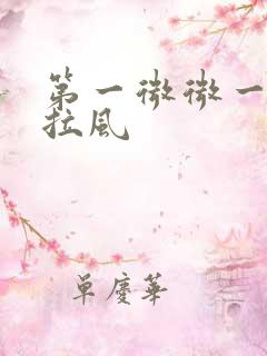 第一微微一笑很拉风