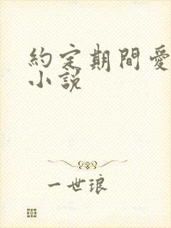 约定期间爱上你小说