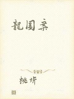 龙图案