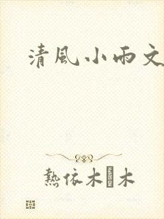 清风小雨文学网
