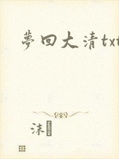 梦回大清txt