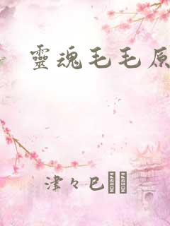 灵魂毛毛原文