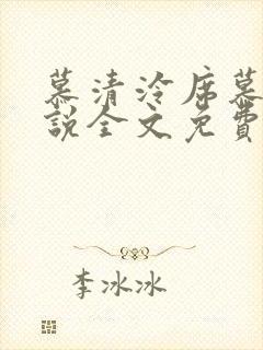 慕清泠席慕深小说全文免费阅读