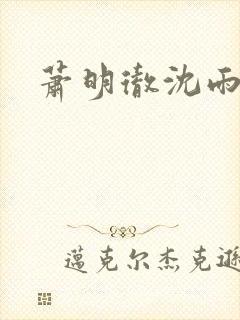 萧明彻沈雨燃