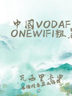 中国VODAFONEWIFI粗暴APP