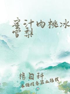 蜜汁肉桃冰糖炖雪梨