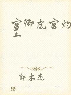 宫卿岚宫灼摄政王