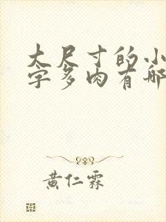 大尺寸的小黄说字多肉有哪些