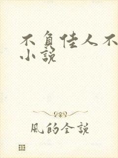 不负佳人不负卿小说