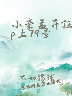 小豪孟卉钰慧三p上79章