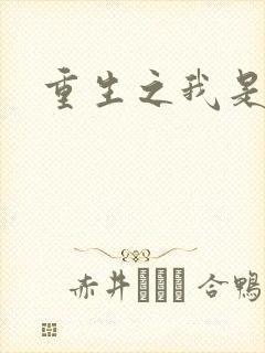 重生之我是死神