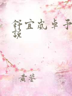 舒宜岚卓予淮小说