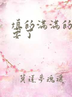 填的满满的 不要了