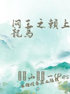 网王之赖上越前龙马