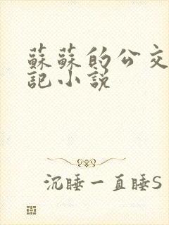 苏苏的公交车日记小说