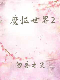 魔怔世界2